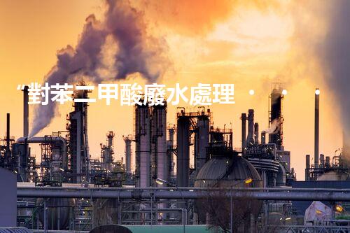 “對苯二甲酸廢水處理，綠色創(chuàng)新引領(lǐng)環(huán)保新篇章”